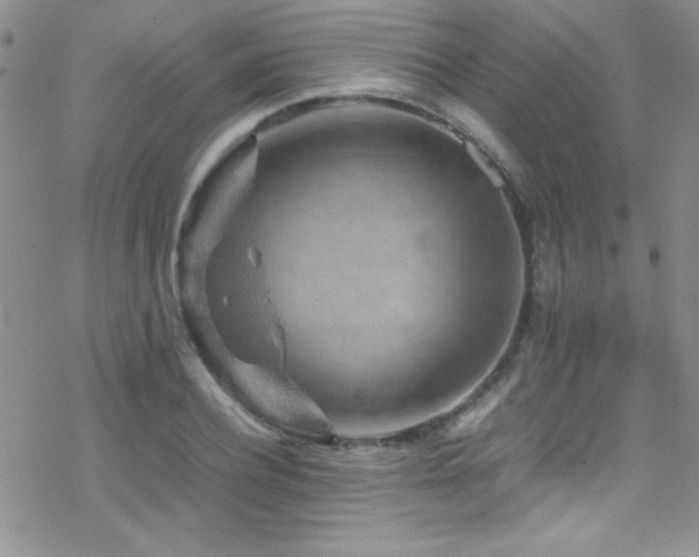 X0000070410932200606091147