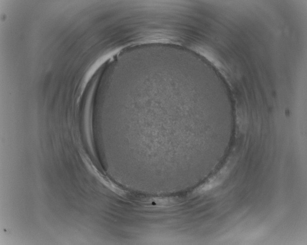 X0000070410933200606091147