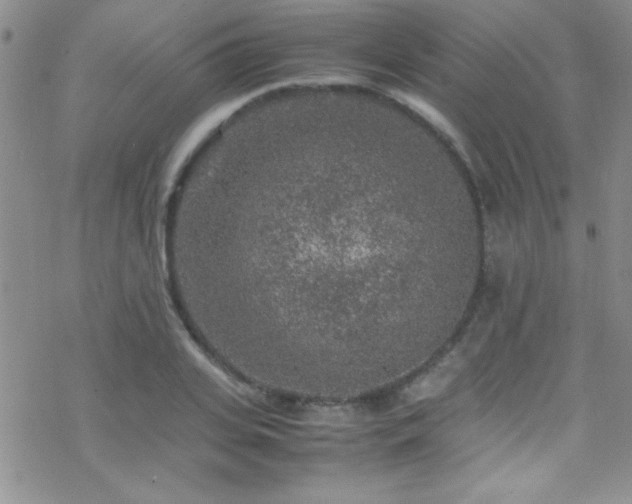 X0000070410935200606091148