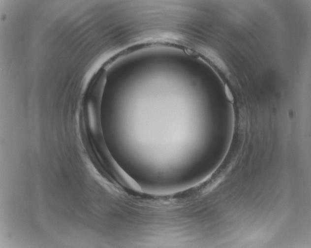 X0000070410936200606091148