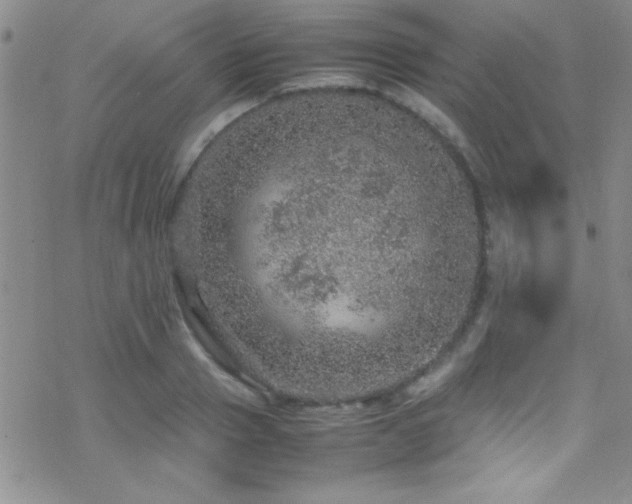 X0000070410937200606091148