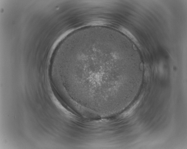 X0000070410939200606091148