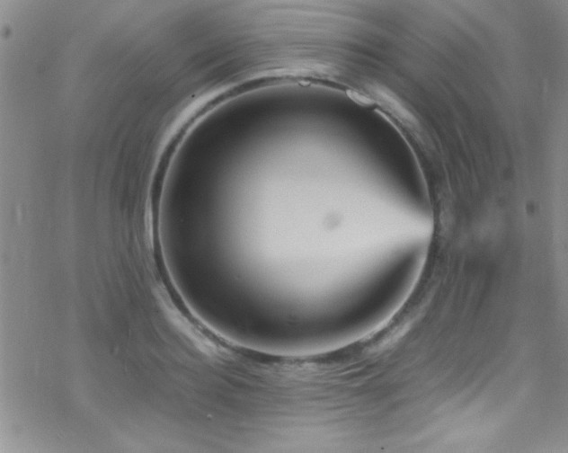 X0000070410940200606091148