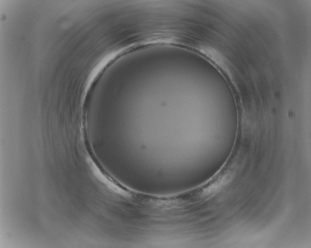 X0000070410941200606091148