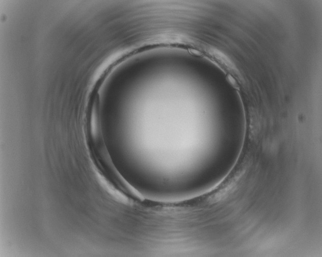 X0000070410942200606091148