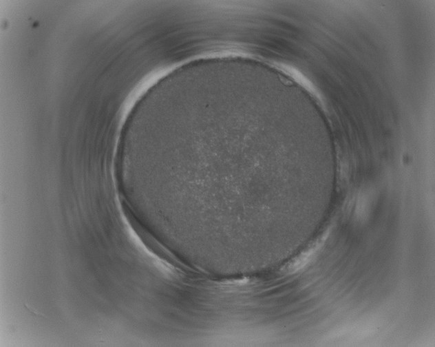 X0000070410943200606091148