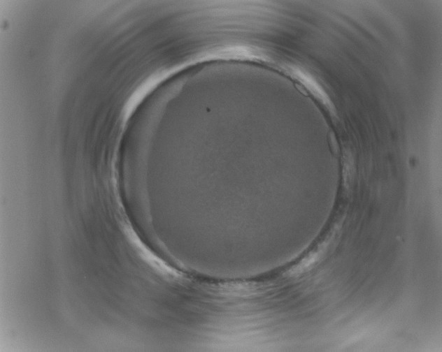 X0000070410944200606091148