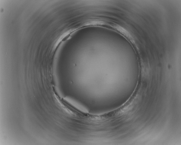 X0000070410945200606091148