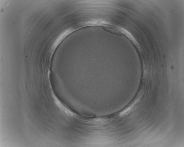 X0000070410946200606091148