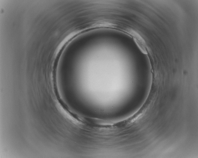 X0000070410947200606091148