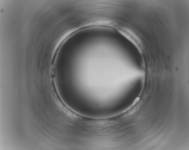 X0000070410948200606091148