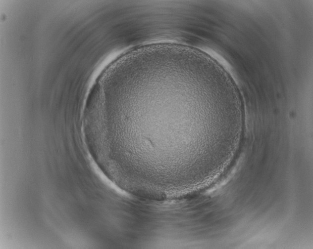 X0000070410949200606091148