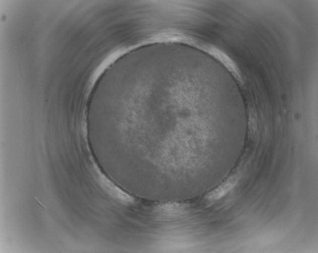 X0000070410950200606091148