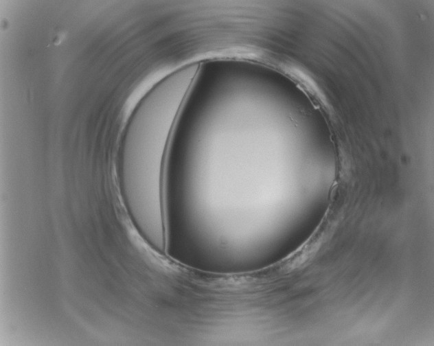 X0000070410952200606091148