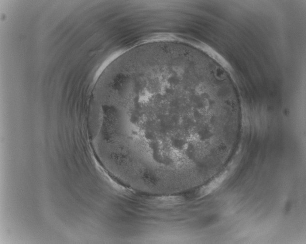 X0000070410953200606091148