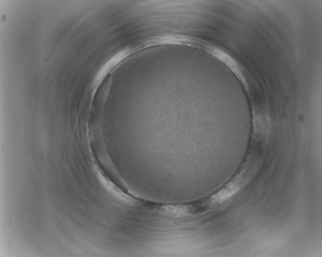 X0000070410954200606091148