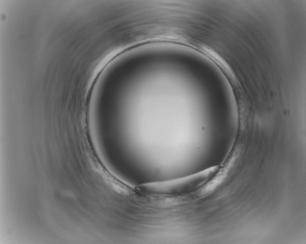 X0000070410956200606091148