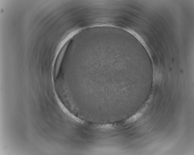 X0000070410957200606091148