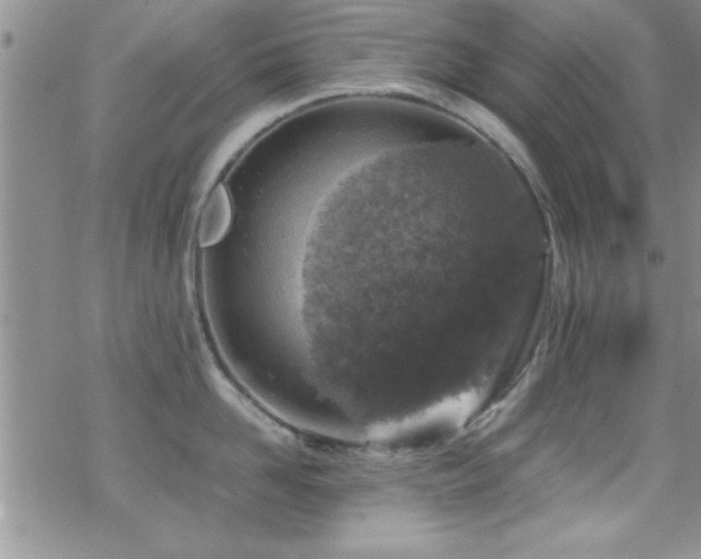 X0000070410958200606091148