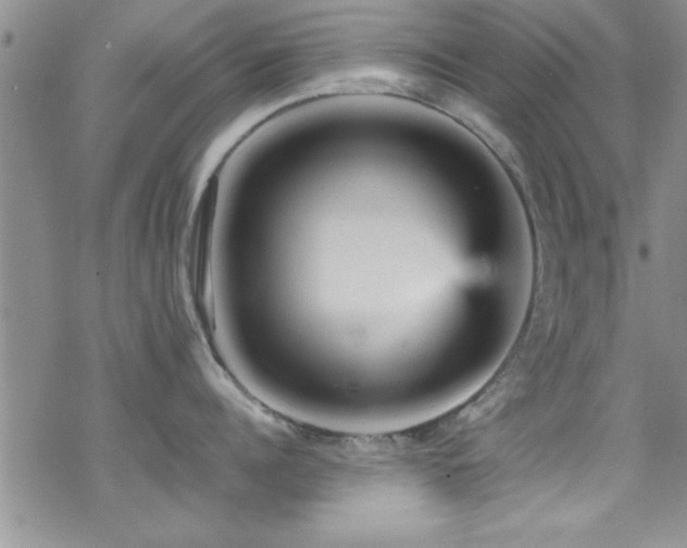 X0000070410960200606091148