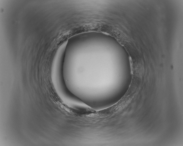 X0000070410961200606091147