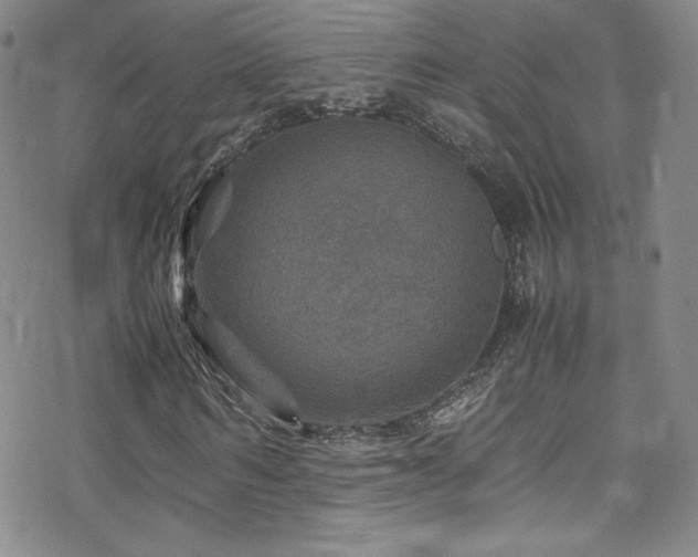 X0000070410962200606091147