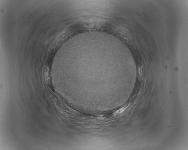 X0000070410963200606091147