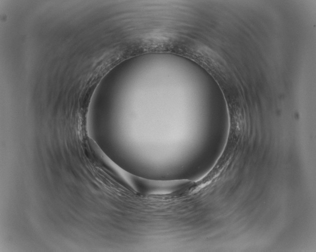 X0000070410964200606091147