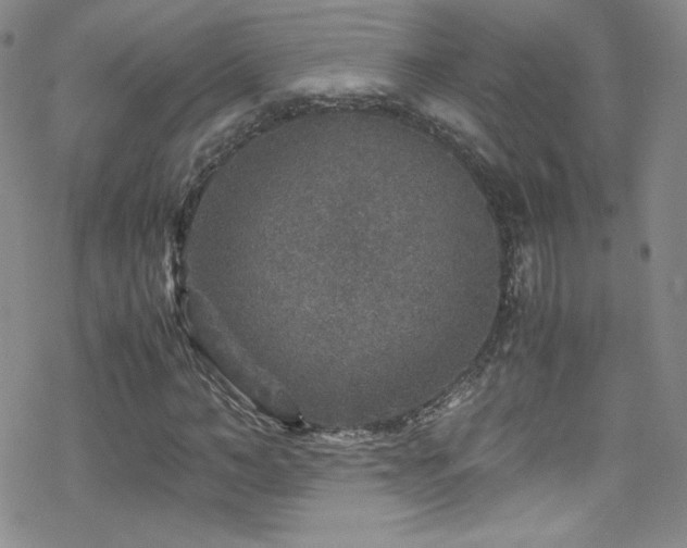 X0000070410966200606091147