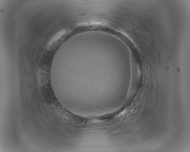 X0000070410967200606091147