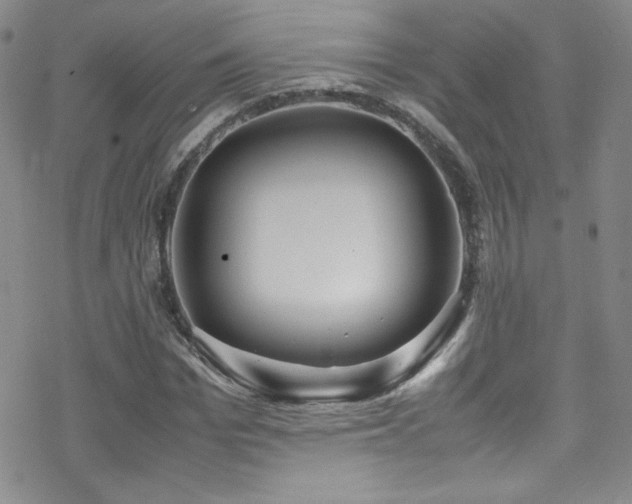 X0000070410969200606091147