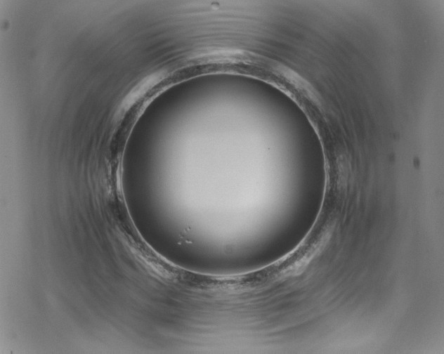 X0000070410970200606091147