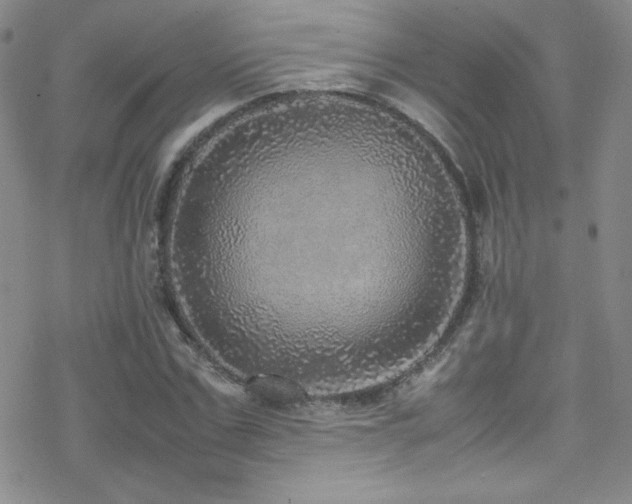 X0000070410971200606091147