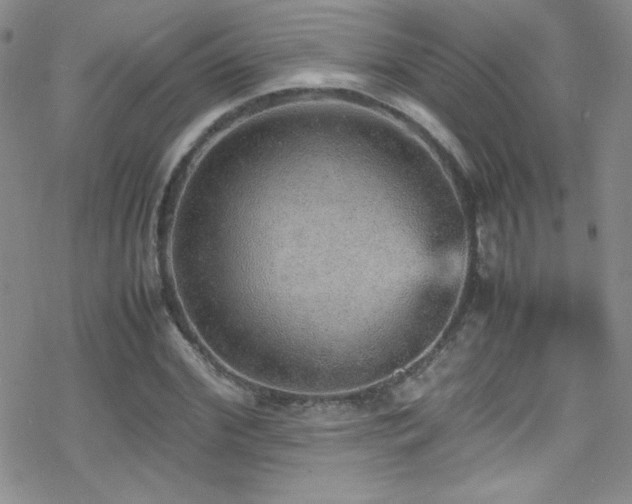 X0000070410972200606091147