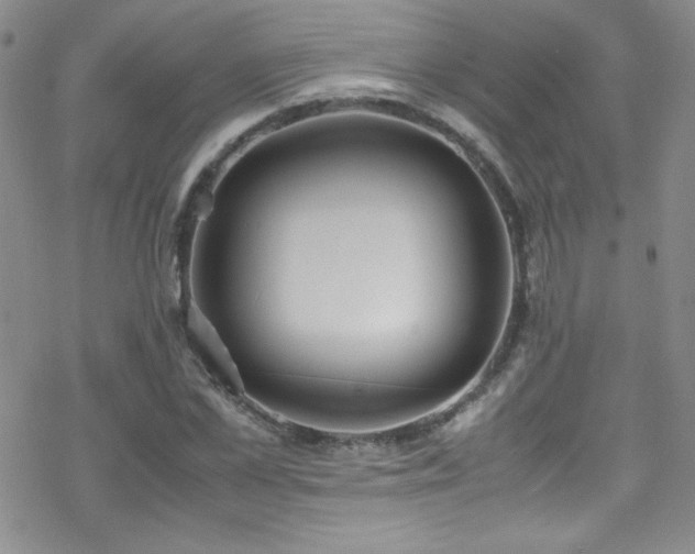 X0000070410973200606091147