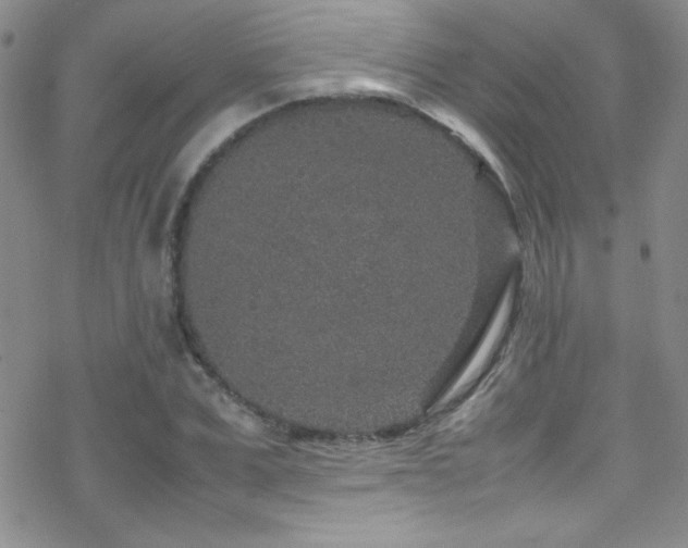 X0000070410975200606091147