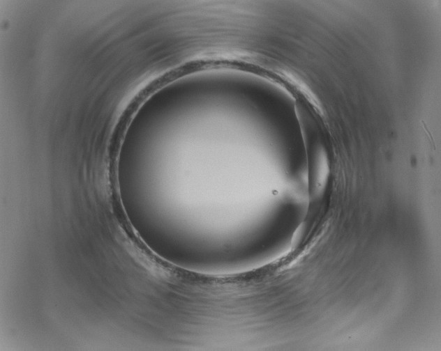 X0000070410976200606091147