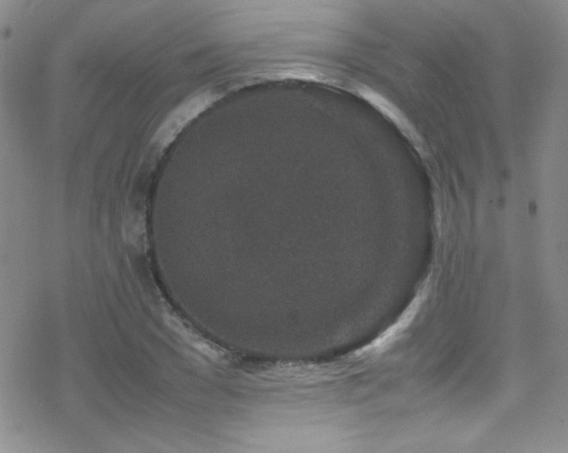 X0000070410977200606091147