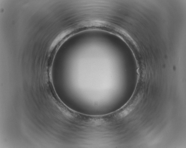 X0000070410978200606091147