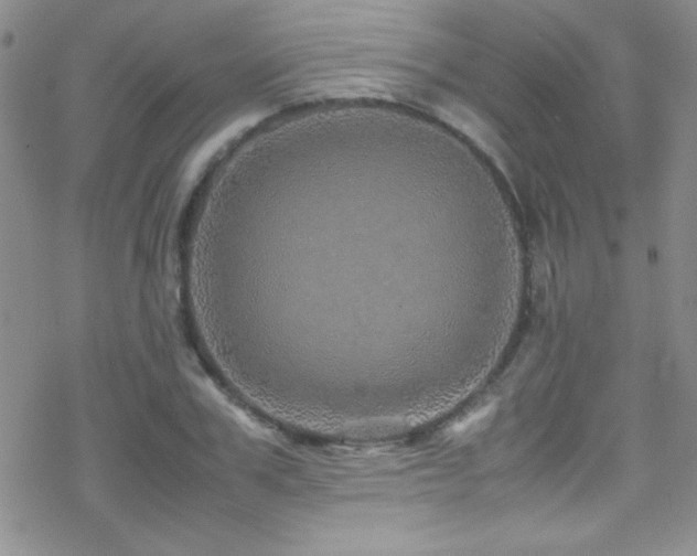 X0000070410979200606091147