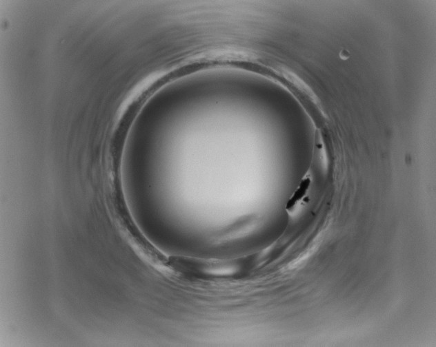 X0000070410981200606091147