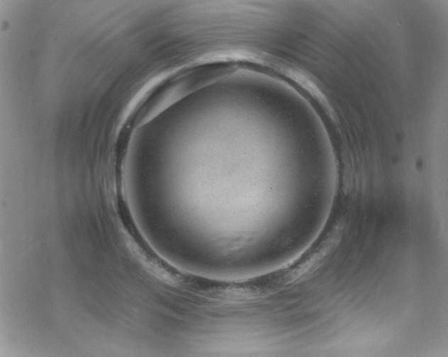 X0000070410984200606091147