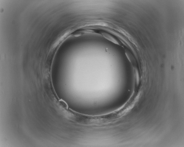 X0000070410985200606091147