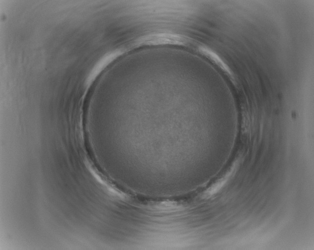 X0000070410986200606091147