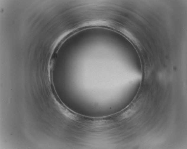 X0000070410988200606091147