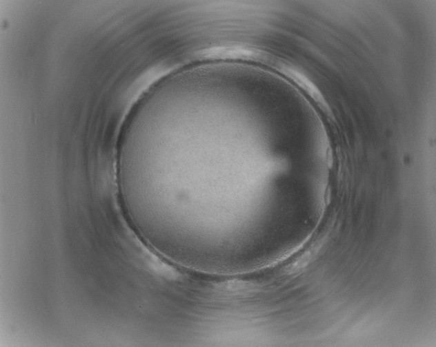 X0000070410992200606091147