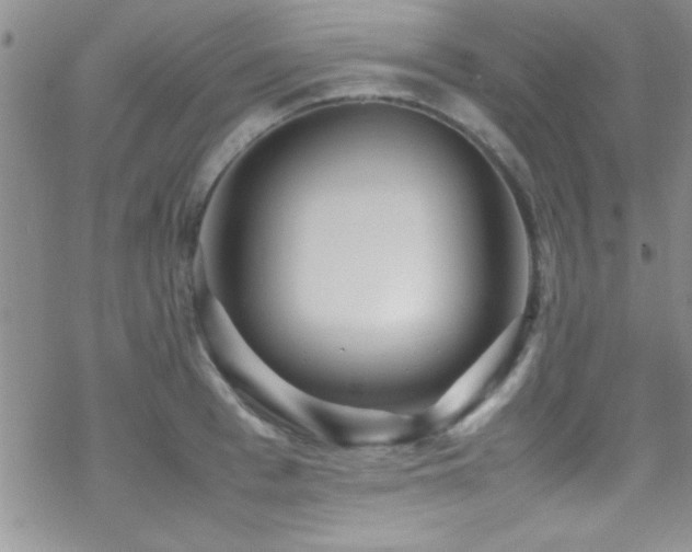 X0000070410993200606091147