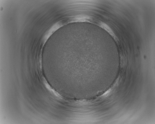 X0000070410994200606091147