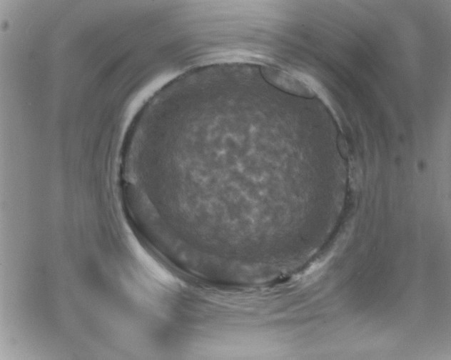 X0000070410995200606091147