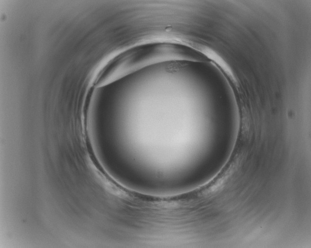 X0000070410996200606091147